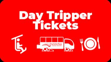 Image for: Day Tripper